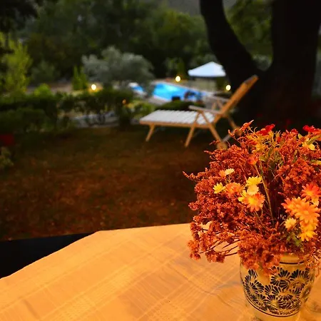 Tatil Evi Holiday Terna